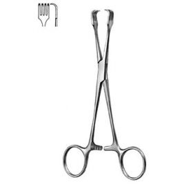 Braun Forceps