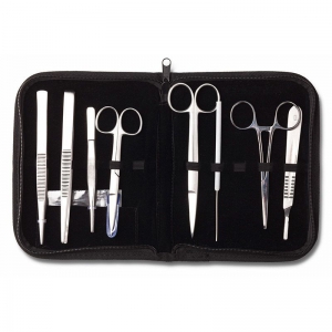 Dissecting Set