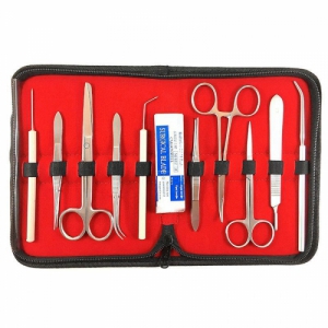 Dissecting Set
