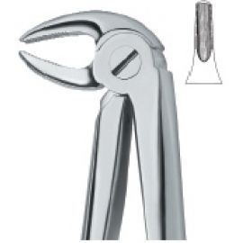 Extracting Forcep English Pattern