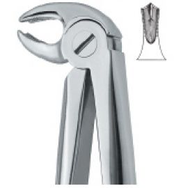 Extracting Forcep English Pattern