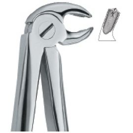 Extracting Forcep English Pattern