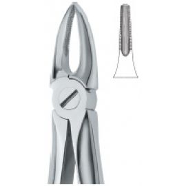 Extracting Forcep English Pattern