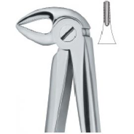 Extracting Forcep English Pattern