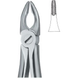 Extracting Forcep English Pattern
