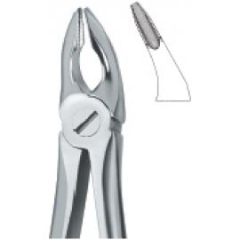 Extracting Forcep English Pattern