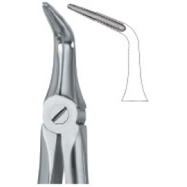 Extracting Forcep English Pattern