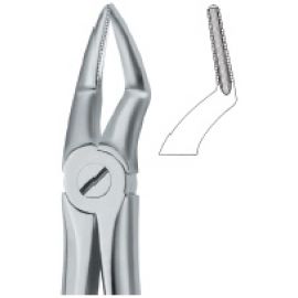Extracting Forcep English Pattern