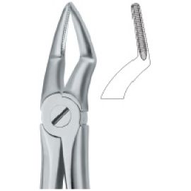 Extracting Forcep English Pattern