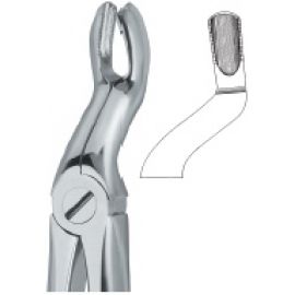 Extracting Forcep English Pattern