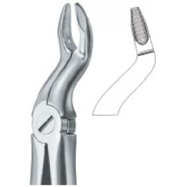Extracting Forcep English Pattern