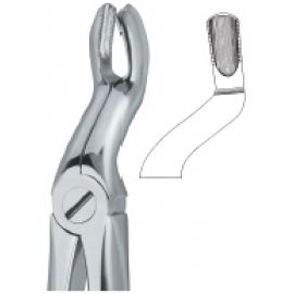 Extracting Forcep English Pattern