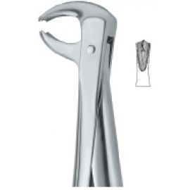 Extracting Forcep English Pattern