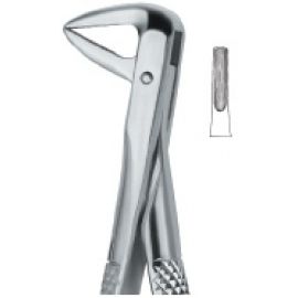 Extracting Forcep English Pattern