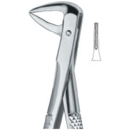 Extracting Forcep English Pattern