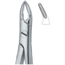 Extracting Forcep English Pattern