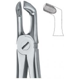 Extracting Forcep English Pattern