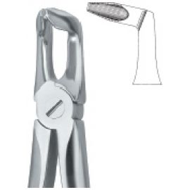 Extracting Forcep English Pattern