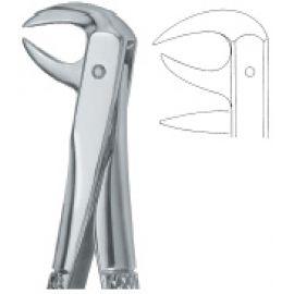 Extracting Forcep English Pattern