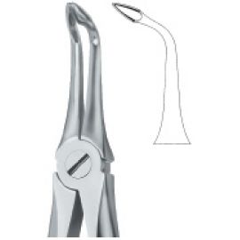Extracting Forcep English Pattern