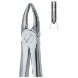 Extracting Forcep English Pattern