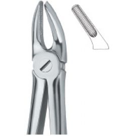 Extracting Forcep English Pattern