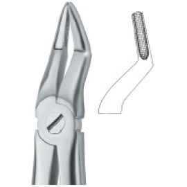 Extracting Forcep English Pattern