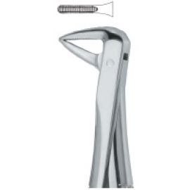 Extracting Forcep English Pattern
