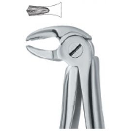 Extracting Forcep English Pattern