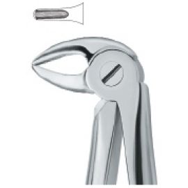 Extracting Forcep English Pattern