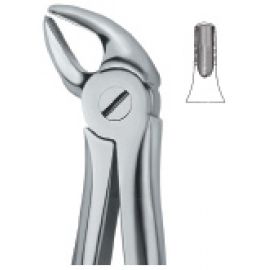 Extracting Forcep English Pattern