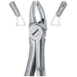 Extracting Forcep English Pattern