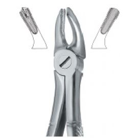 Extracting Forcep English Pattern