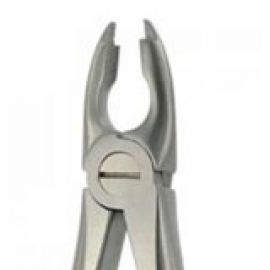Extracting Forcep English Pattern
