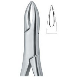 Extracting Forceps American Pattern