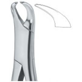 Extracting Forceps American Pattern