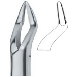 Extracting Forceps American Pattern