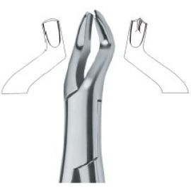 Extracting Forceps American Pattern
