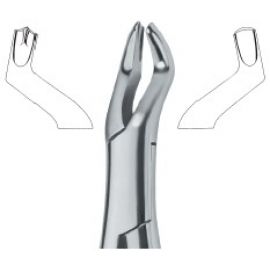 Extracting Forceps American Pattern