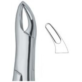 Extracting Forceps American Pattern
