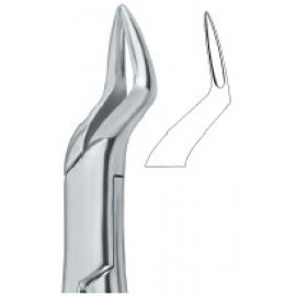 Extracting Forceps American Pattern