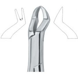 Extracting Forceps American Pattern