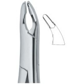 Extracting Forceps American Pattern