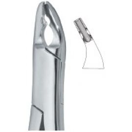 Extracting Forceps American Pattern