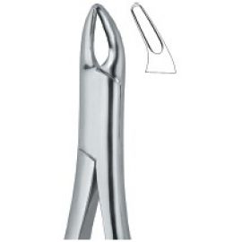 Extracting Forceps American Pattern
