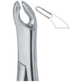 Extracting Forceps American Pattern