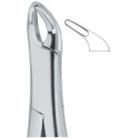 Extracting Forceps American Pattern