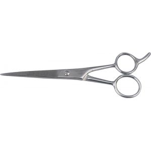Haire Dressing Scissors