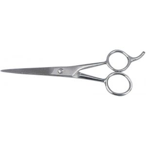 Hair Dressing Scissors