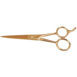 Hair Dressing Scissors